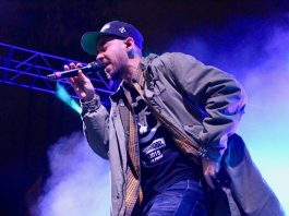 Mike Shinoda writes solo album