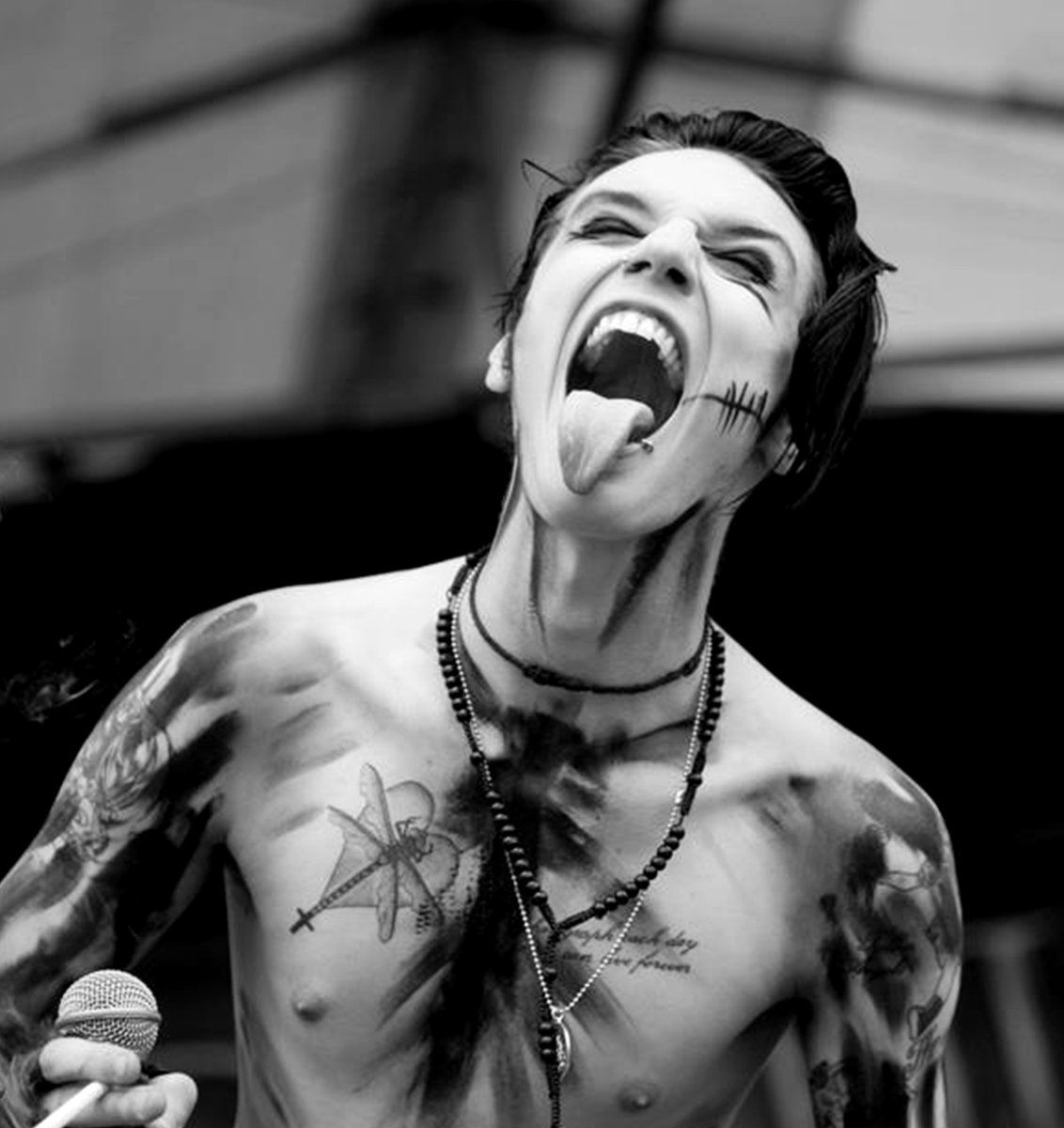 Fun Facts about Andy Biersack of Veil Brides - AlteRock