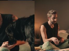 All Time Low Sleeping in