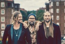 Von Hertzen Brothers band